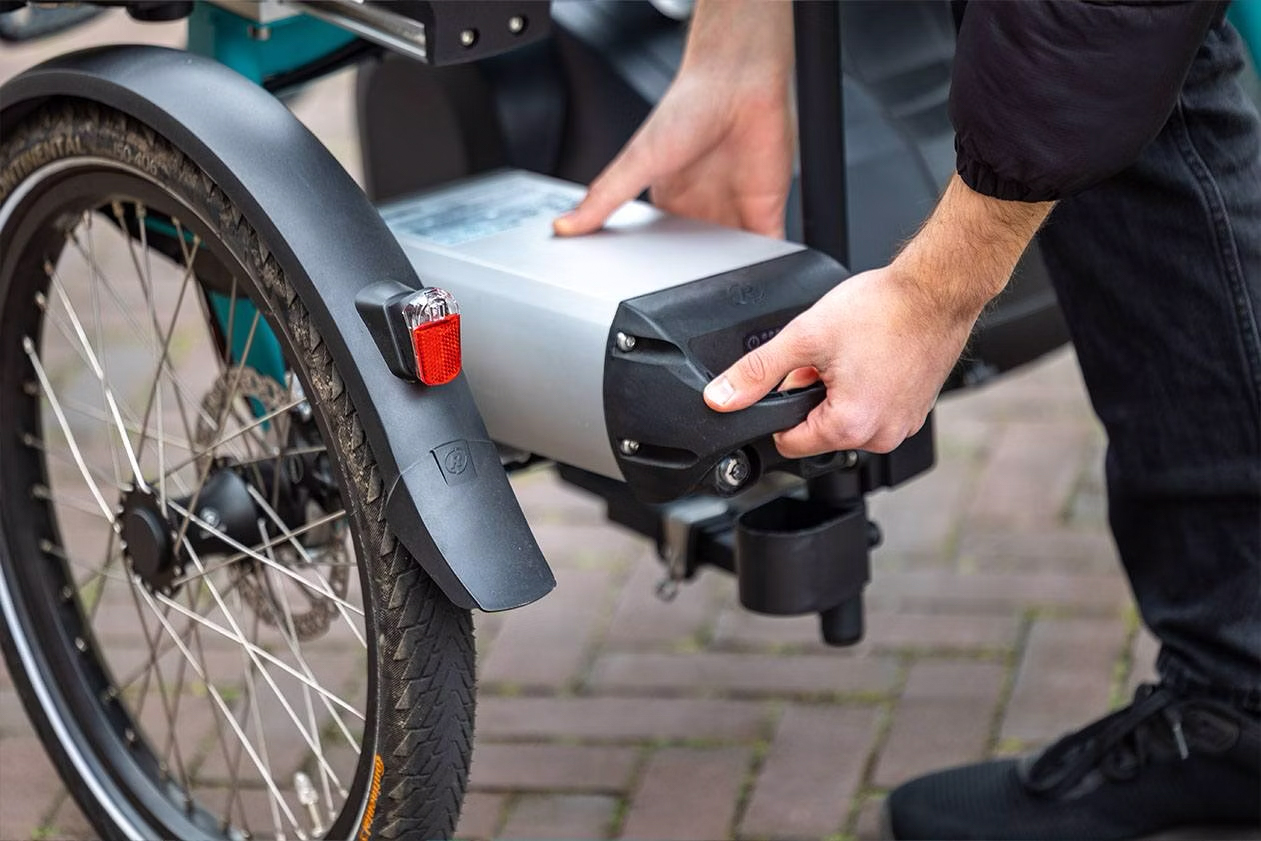 Van Raam Fun 2 Go - Afbeelding 9